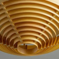 1005 Hans Ceiling Light 55