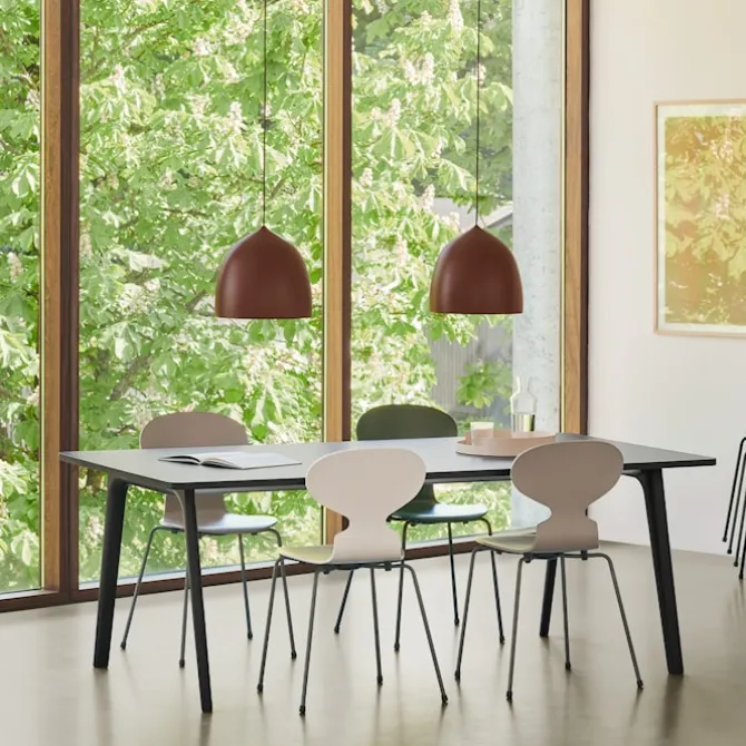 3100 Myran stol Coloured Ash Veneer Silver Grey