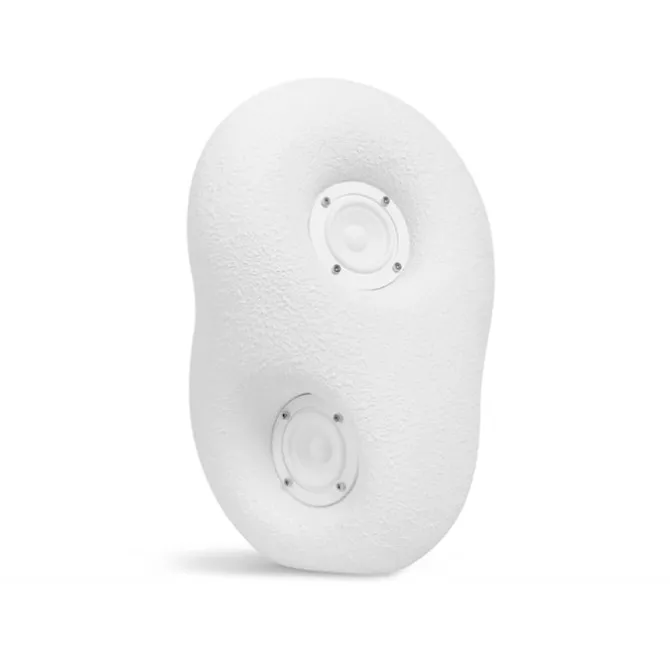 Acoustic Sculpture Speaker