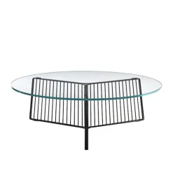 Anapo Round Table