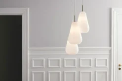 Anoli 3