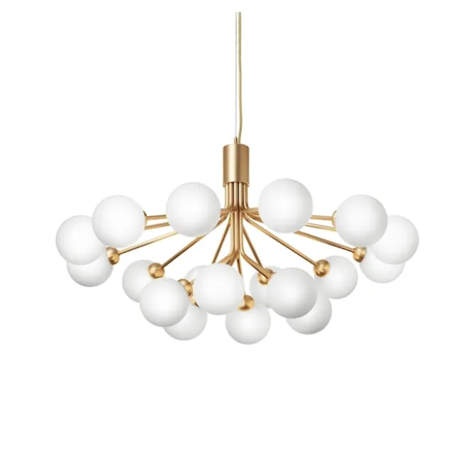 Apiales 18 Pendant