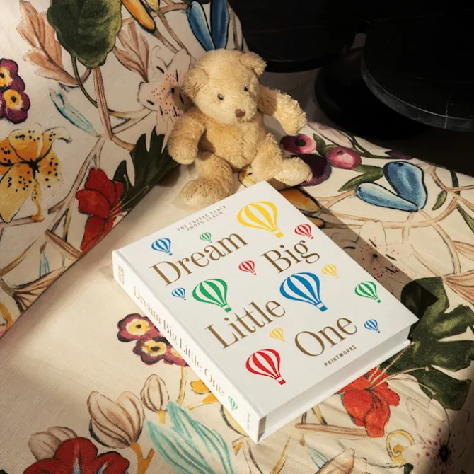 Baby Album - Dream Big Little One