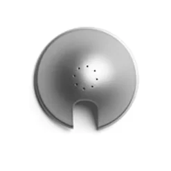 Berenice Wall D12 ELA45