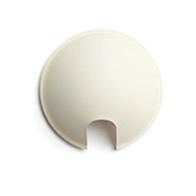 Berenice Wall D12 ELA45