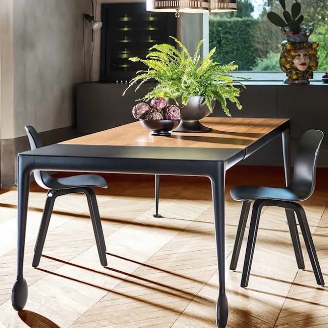 Big Will Extending Table