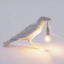 Bird Lamp Waiting