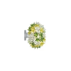 Bloom CW2