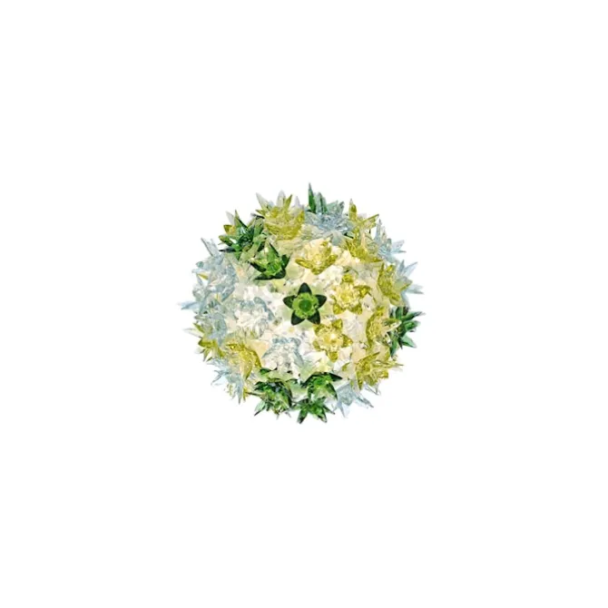 Bloom CW2
