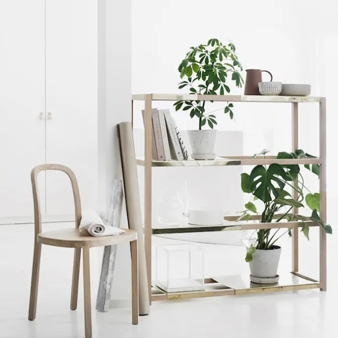 Botanic hylle høy