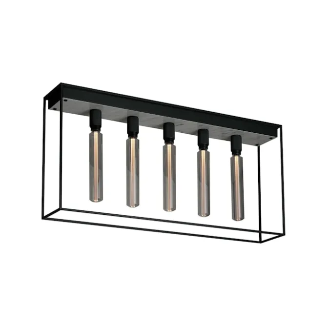 Caged Ceiling 5.0