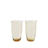 Collect Drinking Glass SC60 - Set of 2