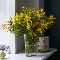 Collect Vase SC35