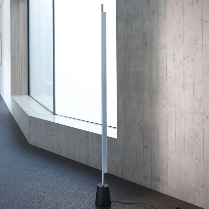 Compendium D81
