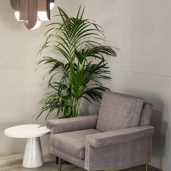 Cora Pendant 8 Lights