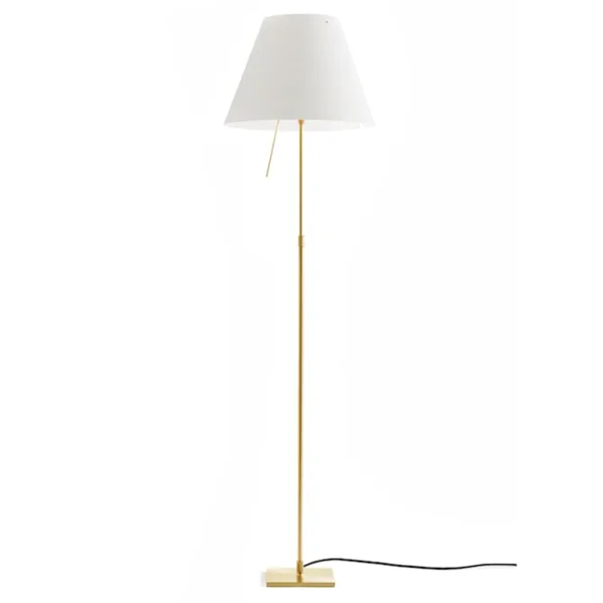 Costanza D13t