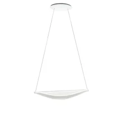 Diphy Suspension 2