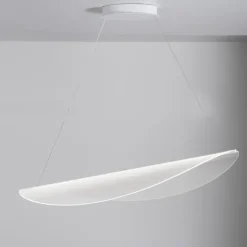 Diphy Suspension 2