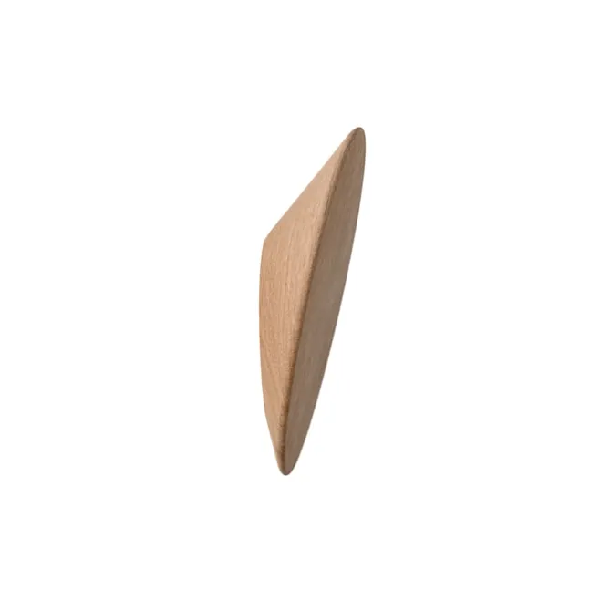 Disk Wall Hook