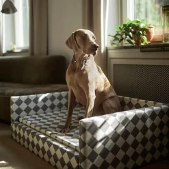 DUX Premium Dog Bed Exclusive Edition