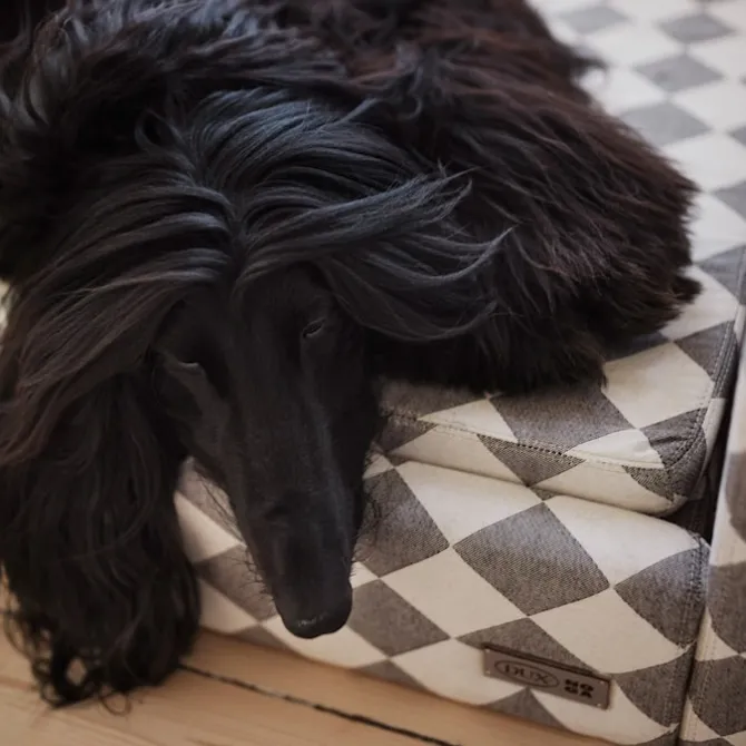 DUX Premium Dog Bed Exclusive Edition
