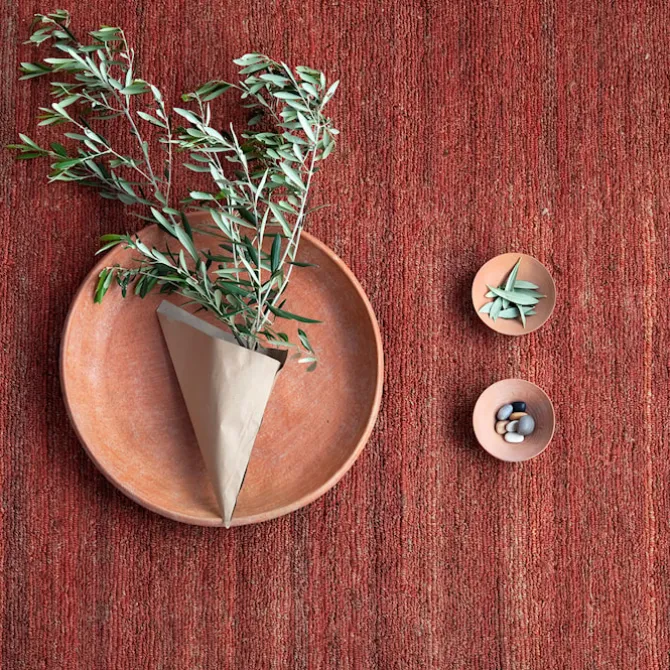 Earth Terracota Rug