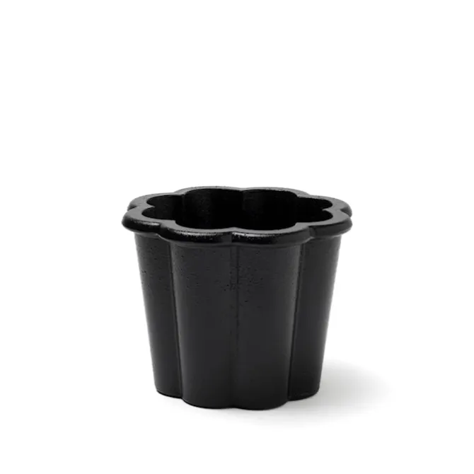 Fjällsippa krukke lav