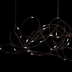 Flock of Light 31