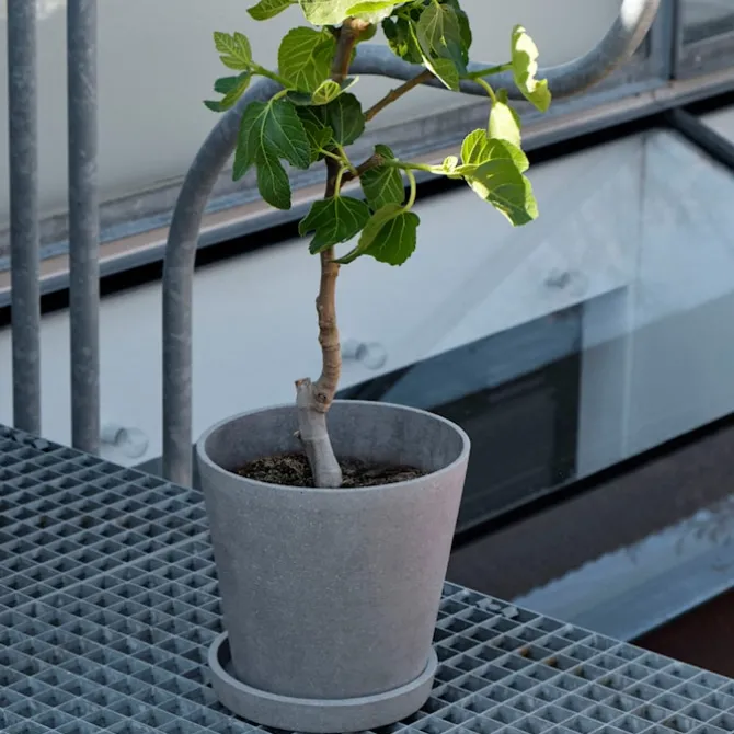 Flowerpot potte & fat Black