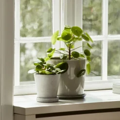 Flowerpot potte & fat Black
