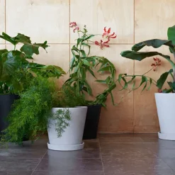 Flowerpot potte & fat Grey