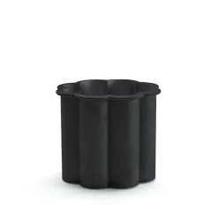 Greysippa Black Plant beholder