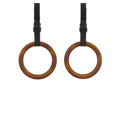 Gym Rings