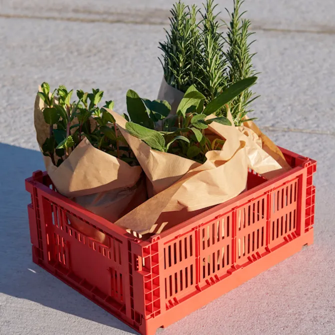HAY Colour Crate Mini oppbevaringsbokser 2-pakning