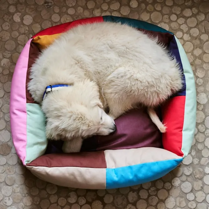HAY hundeseng Small
