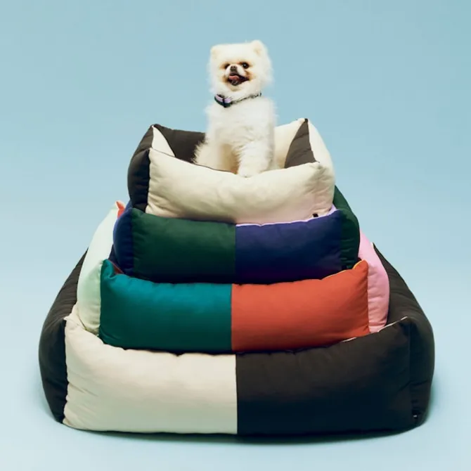 HAY hundeseng Small