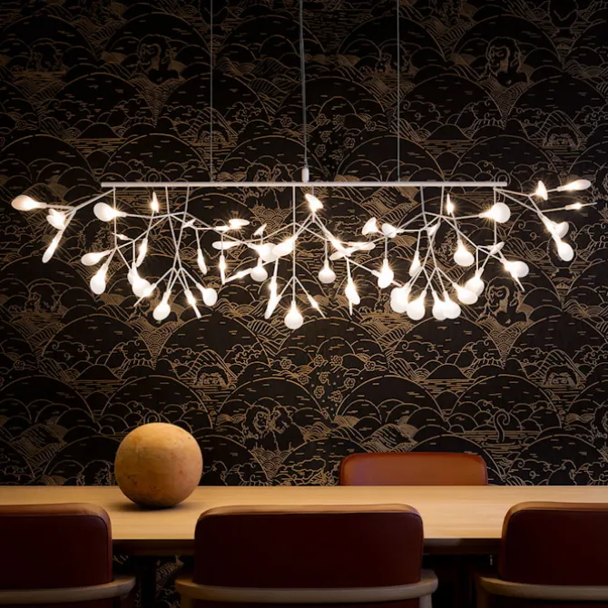 Heracleum III Linear