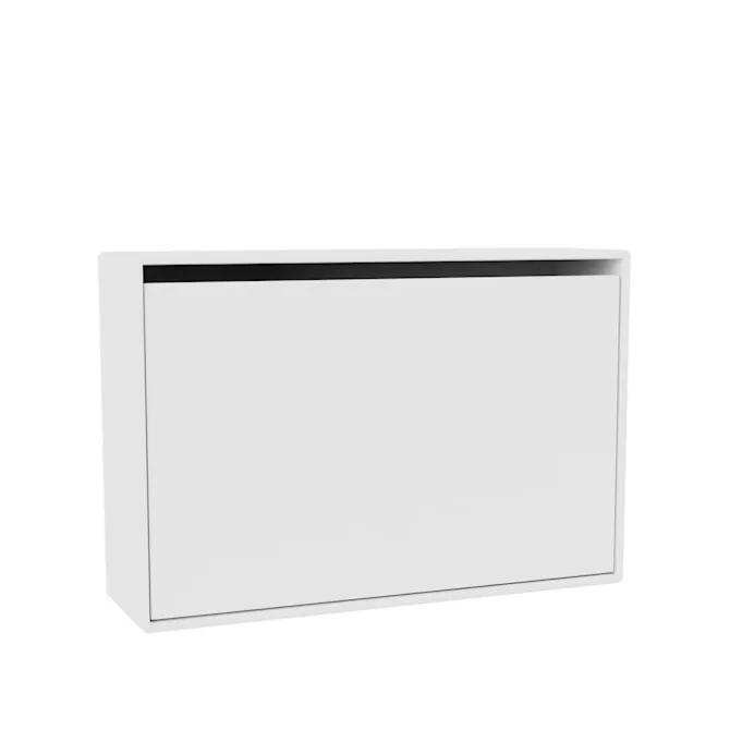 Hide Shoe Cabinet