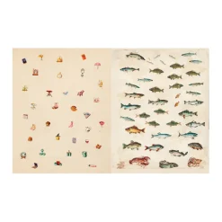 John Derian Picture Book