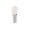 LED Bulb Monkey Lamp - Indoor
