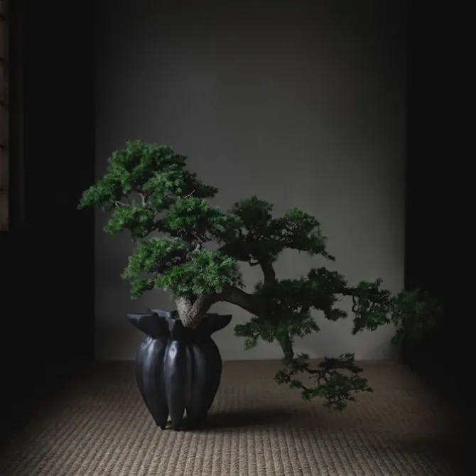 Lotus Vase - Coffee