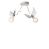 Lucellino Doppio