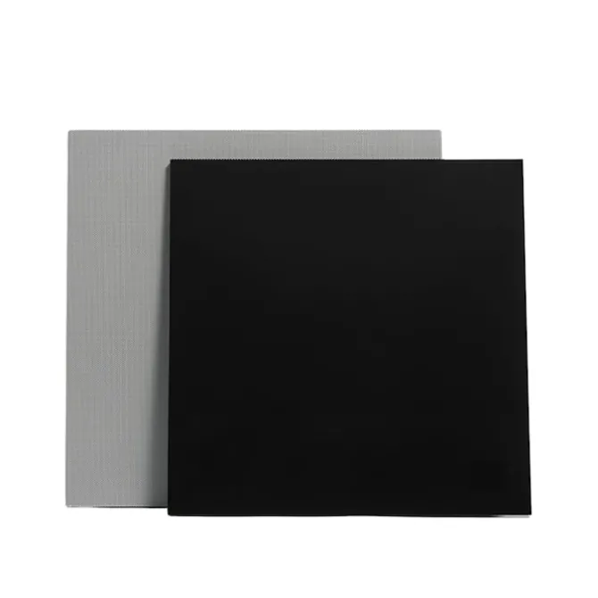 Lyric Speaker Canvas