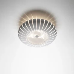Maranga C - White