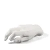 Memorabilia Mvsevm Male Hand
