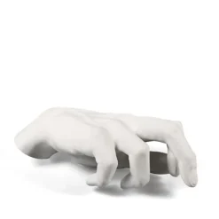 Memorabilia Mvsevm Male Hand