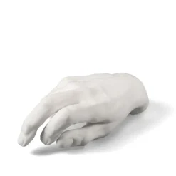 Memorabilia Mvsevm Male Hand