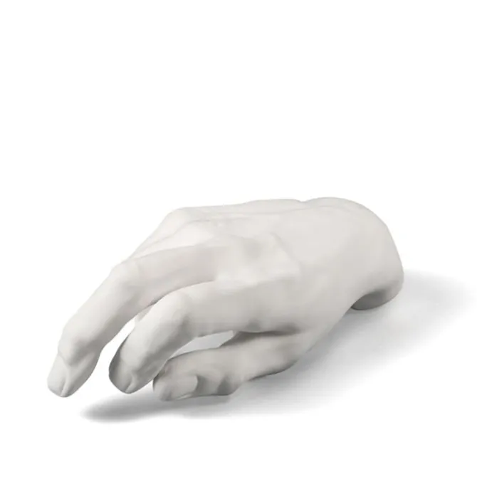 Memorabilia Mvsevm Male Hand