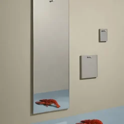 Memory Mirror