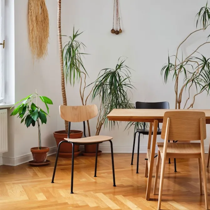 Moca stol Natural Oak